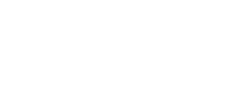 Brunner Strategy Logo